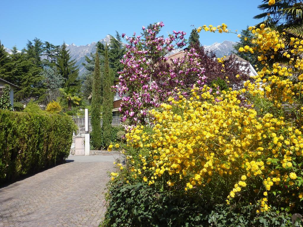 Zima 3* Merano