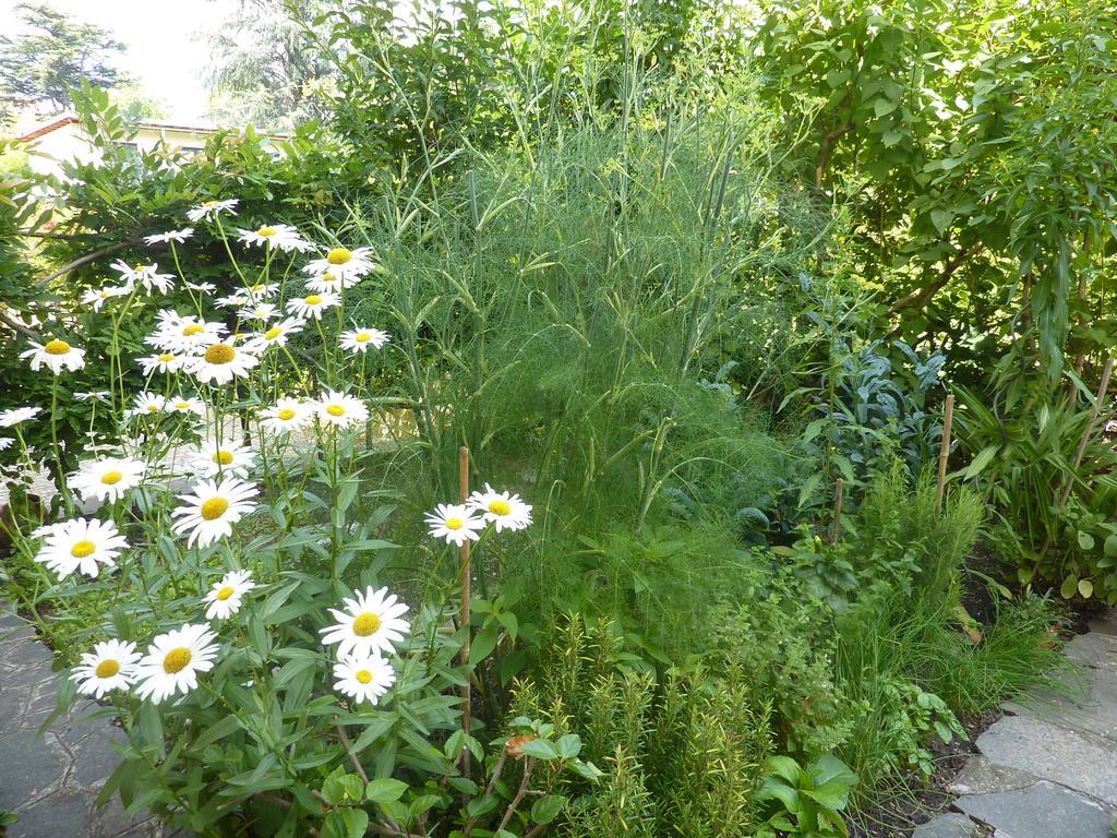Zima Merano