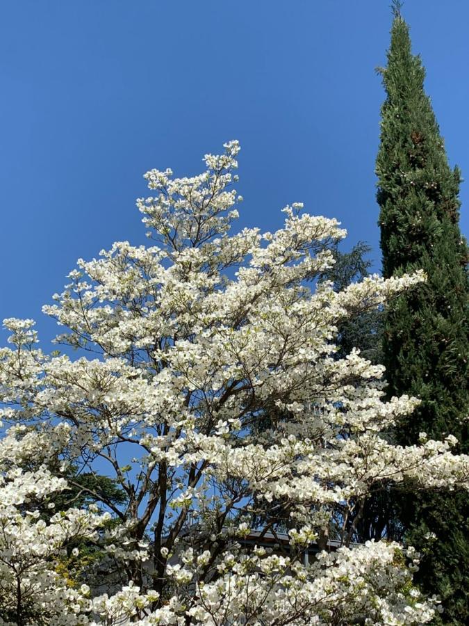 Zima Merano